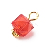Transparent Acrylic Pendants PALLOY-JF01834-05-4