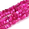Natural Freshwater Shell Beads Strands SHEL-N037-04E-1