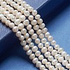 Natural Cultured Freshwater Pearl Beads Strands X-PEAR-L001-F-08-2