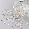 8/0 Glass Seed Beads X2-SEED-A005-3mm-21-1