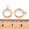 K9 Glass Charms GLAA-T023-37A-02-3