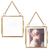 Hanging Pressed Flower Alloy Photo Frames ODIS-WH0002-71G-1