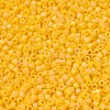 MIYUKI Delica Beads X-SEED-J020-DB1592-3
