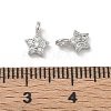 Brass Micro Pave Clear Cubic Zirconia Charms CU-CBA9FFD-04P-3