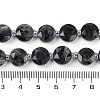 Natural Larvikite Beads Strands G-C116-A45-01-5