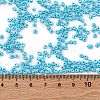 8/0 Baking Paint Glass Seed Beads X1-SEED-M012-02A-46-4