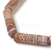 Natural Weathered Agate Beads Strands G-Q169-A04-01-4