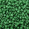 TOHO 6/0 Round Beads SEED-TR06-0047D-3