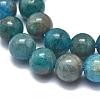 Natural Apatite Beads Strands G-F617-01-10mm-3