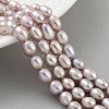 Natural Cultured Freshwater Pearl Beads Strands PEAR-P062-08J-1