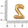 304 Stainless Steel Pendants STAS-P402-01G-02-3