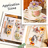 6 Sets 6 Styles PET Transparent Laser Stickers Set DIY-SP0006-21-7