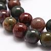 Natural Indian Bloodstone Beads Strands G-G954-02-10mm-3