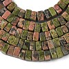 Natural Unakite Beads Strands G-A280-C10-01-5