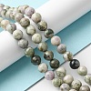 Natural Peace Jade Beads Strands G-E598-04B-4