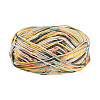 Light Gradient Segment Dyed Polyester Yarn DIY-TADJ0002-005G-1