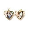 Natural Paua Shell & Epoxy Resin Charms KK-E794-02G-05-1