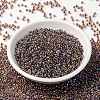 MIYUKI Round Rocailles Beads X-SEED-G008-RR0342-2