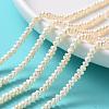 Grade AA Natural Cultured Freshwater Pearl Beads Strands X-PEAR-L003-A-03-5