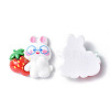 Opaque Resin Cabochons CRES-P023-06C-2