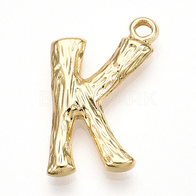 304 Stainless Steel Pendants STAS-N117-01G-K-1