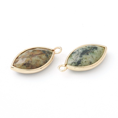 Natural Gemstone Pendants G-B009-01G-N-1