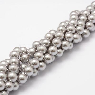 Shell Pearl Beads Strands BSHE-L026-05-8mm-1