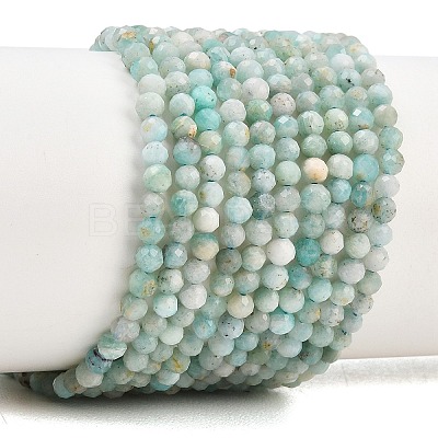 Natural Amazonite Bead Strands G-P279-42-3mm-1