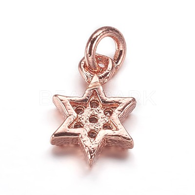 Brass Micro Pave Cubic Zirconia Pendants ZIRC-K070-41RG-1