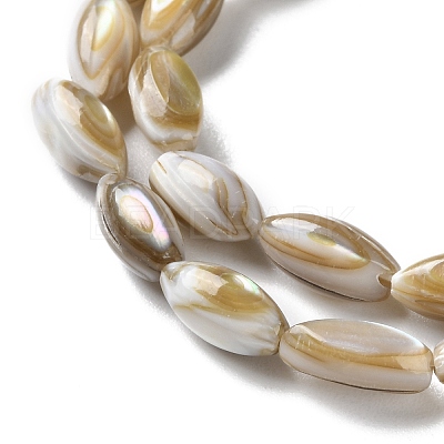 Natural Freshwater Shell Beads Strands SSHEL-B002-13-1