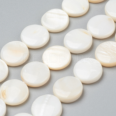 Natural Freshwater Shell Beads BSHE-I011-01E-02-1