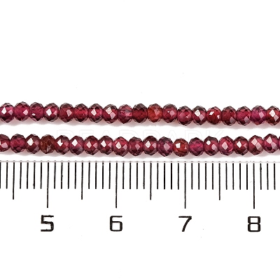 Natural Garnet Beads Strands X-G-F770-D02-02-1
