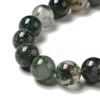 Natural Fuchsite Beads Strands G-K285-40C-1-1