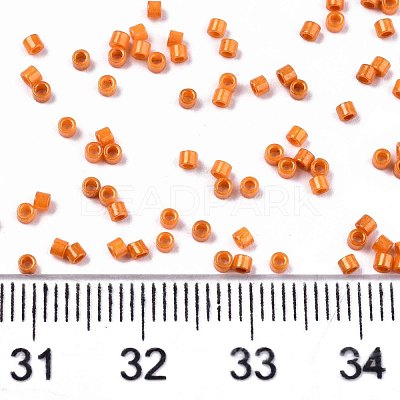 FGB 11/0 Grade A Baking Paint Glass Seed Beads X-SEED-S030-1028-1