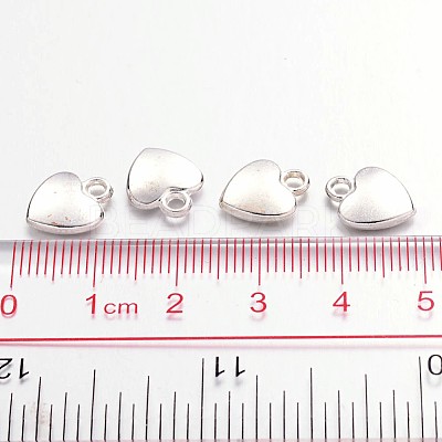 Tibetan Style Alloy Charms X-K08QL022-1