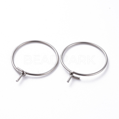 316 Surgical Stainless Steel Hoop Earring Findings STAS-J025-01A-P-1