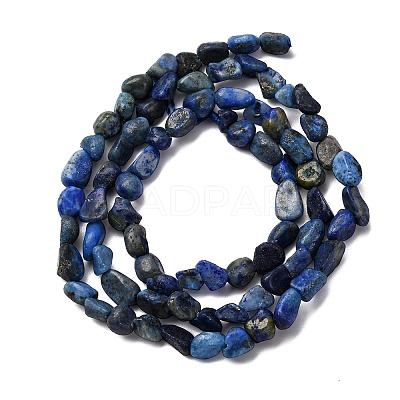 Natural Lapis Lazuli Beads Strands G-I389-A05-1