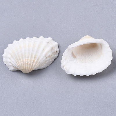 Natural Shell Beads SSHEL-S258-73-1