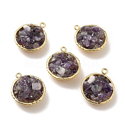Natural Amethyst Chip Pendants KK-C242-05G-16-1