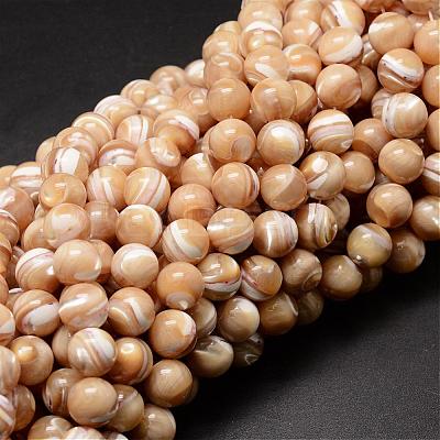 Natural Sea Shell Beads Strands SSHEL-K013-10mm-B-1
