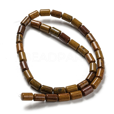 Natural Petrified Wood Beads Strands G-M420-E06-03-1