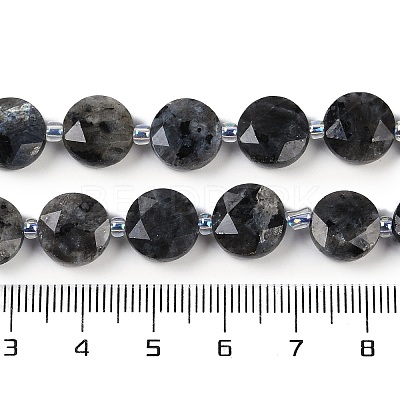 Natural Larvikite Beads Strands G-C116-A45-01-1
