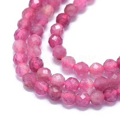 Natural Tourmaline Beads Strands G-G106-C02-02-1