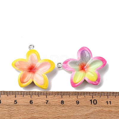 Opaque Resin Pendants RESI-A046-05E-1