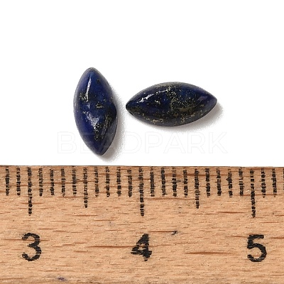 Natural Lapis Lazuli Cabochons G-F772-01B-07-1