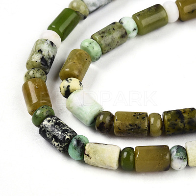 Natural Serpentine Beads Strands G-N346-03A-04-1