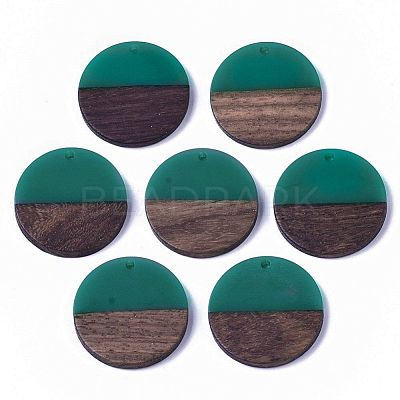 Resin & Wood Pendants RESI-S358-02B-23-1