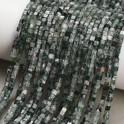Natural Moss Agate Beads Strands GG-CBA2498-A04-01-1