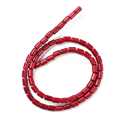 Synthetic Turquoise Beads Strands X-TURQ-G120-4x6mm-07-1