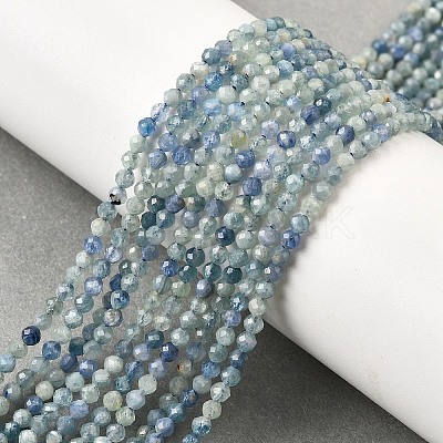 Natural Kyanite/Cyanite/DistheneBeads Strands G-G259-D04-2mm-1